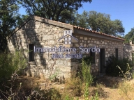 terreno agricolo in vendita a Luogosanto