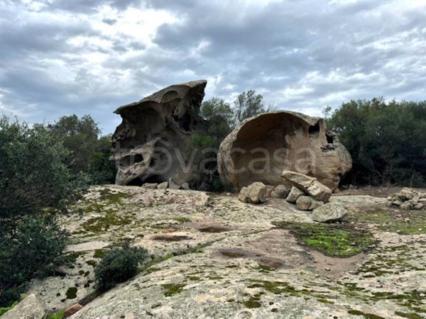 casa indipendente in vendita a Luogosanto