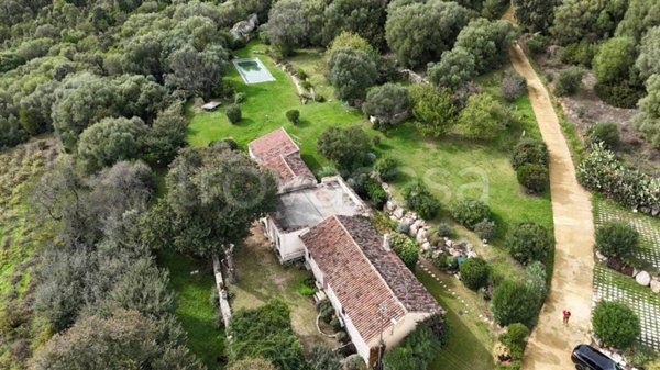 casa indipendente in vendita a Luogosanto