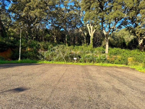 terreno edificabile in vendita a Luogosanto