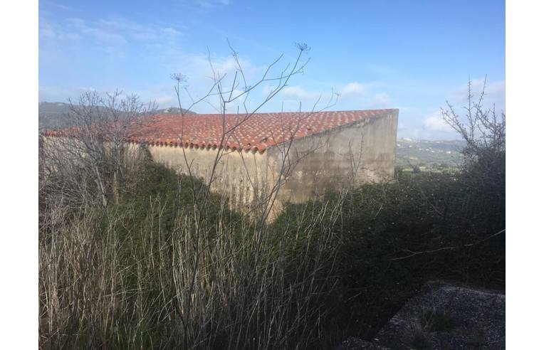 appartamento in vendita a Luogosanto
