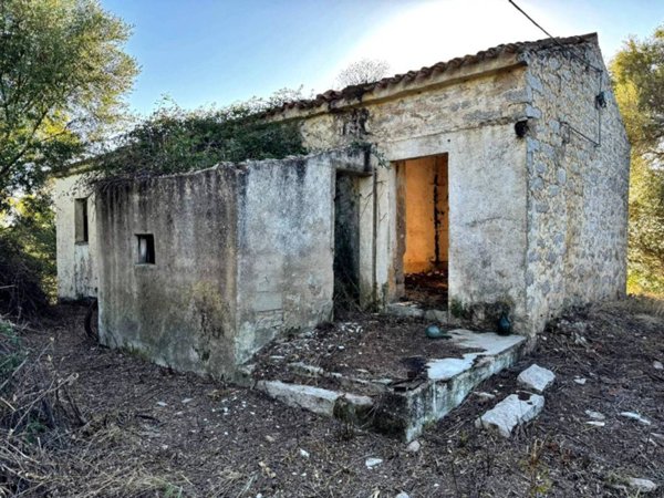 terreno agricolo in vendita a Luogosanto