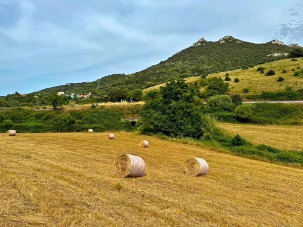 negozio in vendita a Luogosanto