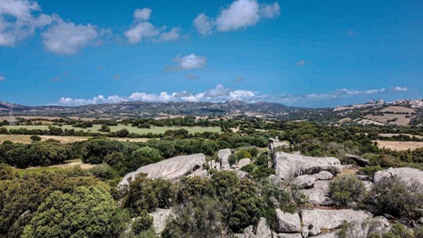 casa indipendente in vendita a Luogosanto
