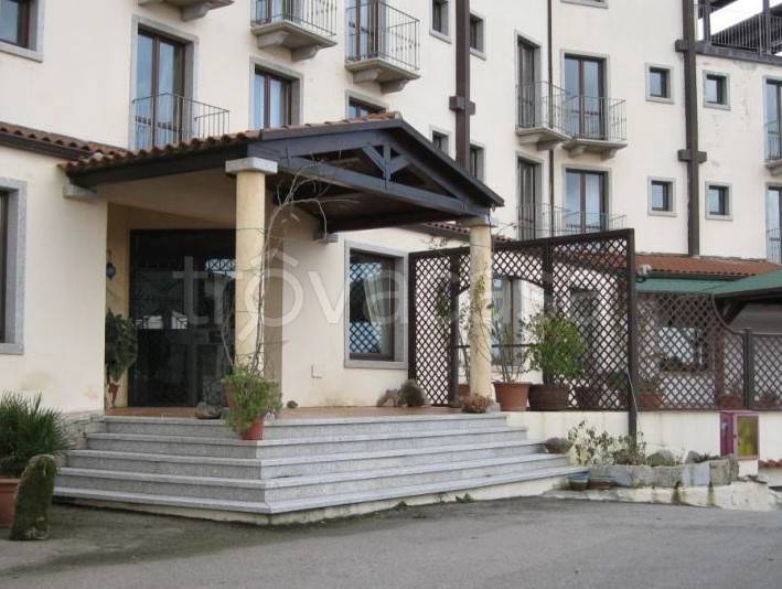 negozio in vendita a Luogosanto
