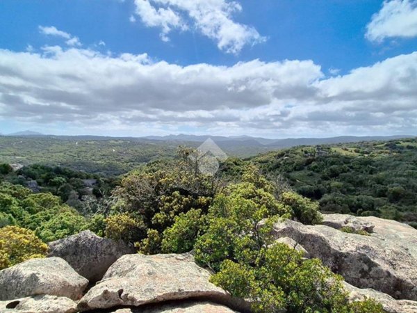 terreno agricolo in vendita a Luogosanto