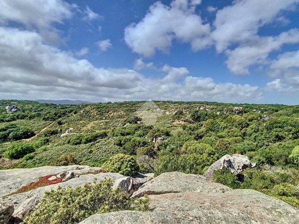 terreno agricolo in vendita a Luogosanto