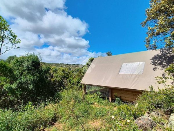 terreno agricolo in vendita a Luogosanto