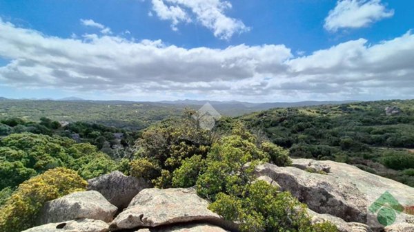 terreno agricolo in vendita a Luogosanto