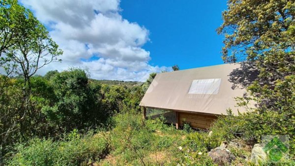 terreno agricolo in vendita a Luogosanto
