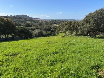 appartamento in vendita a Luogosanto
