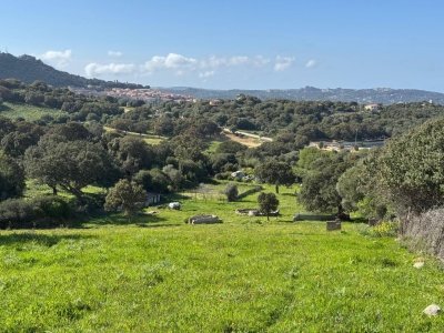 appartamento in vendita a Luogosanto