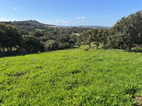 terreno agricolo in vendita a Luogosanto