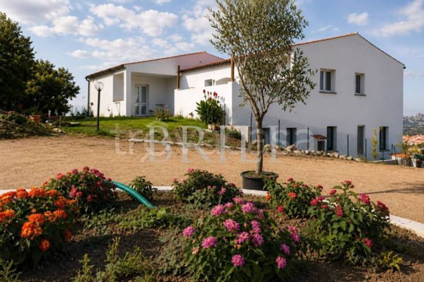 casa indipendente in vendita a Luogosanto
