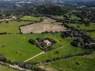 casa indipendente in vendita a Luogosanto