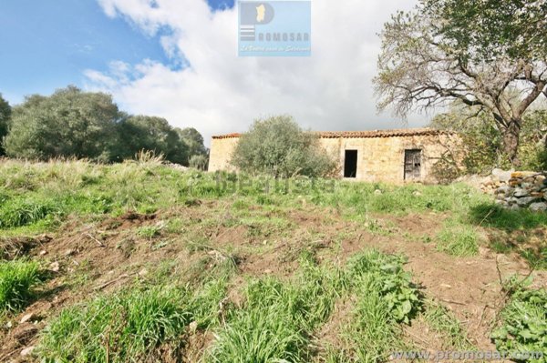 pentavano in vendita a Luogosanto