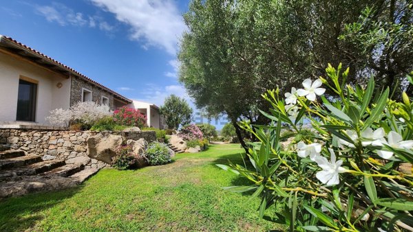 casa indipendente in vendita a Luogosanto