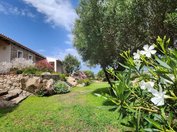 casa indipendente in vendita a Luogosanto