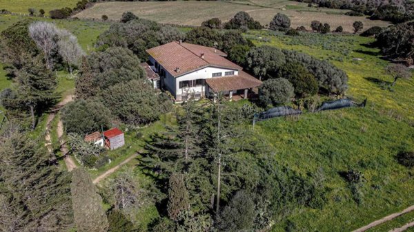 casa indipendente in vendita a Luogosanto