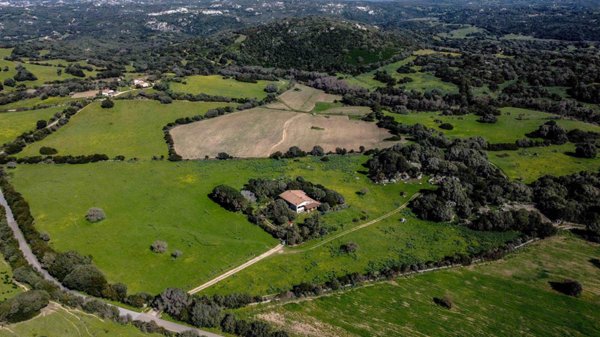 casa indipendente in vendita a Luogosanto