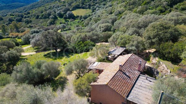 casa indipendente in vendita a Luogosanto