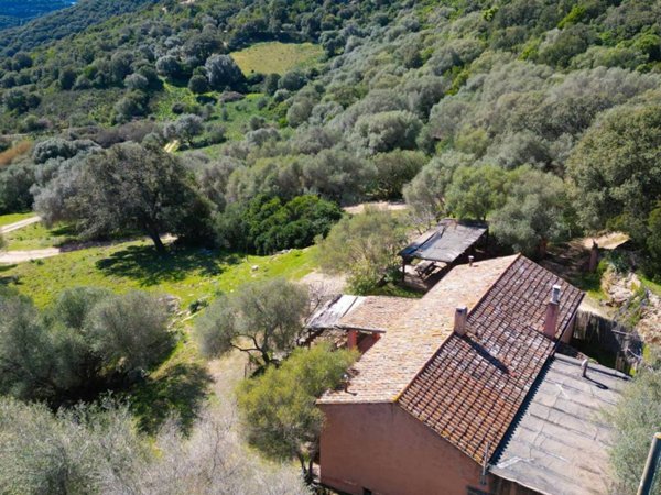casa indipendente in vendita a Luogosanto