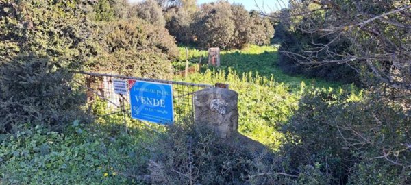 terreno agricolo in vendita a Luogosanto