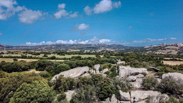 casa indipendente in vendita a Luogosanto