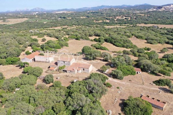 terreno agricolo in vendita a Luogosanto