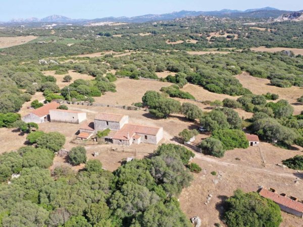terreno agricolo in vendita a Luogosanto