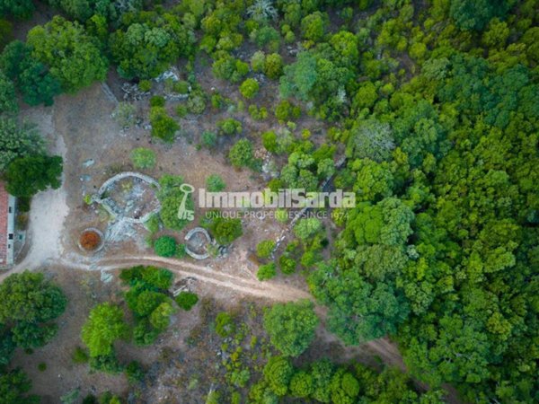 terreno agricolo in vendita a Luogosanto