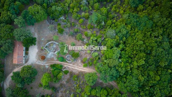 terreno agricolo in vendita a Luogosanto