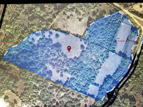 terreno agricolo in vendita a Luogosanto