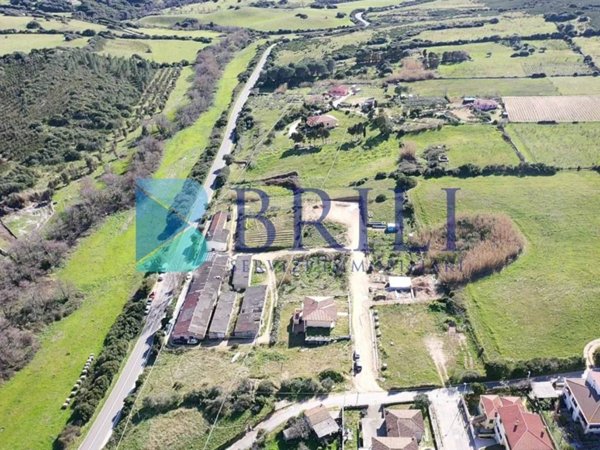 casa indipendente in vendita a Luogosanto