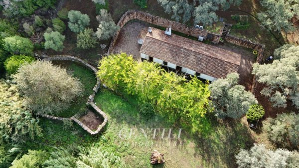 casa indipendente in vendita a Luogosanto