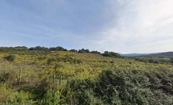 casa indipendente in vendita a Luogosanto