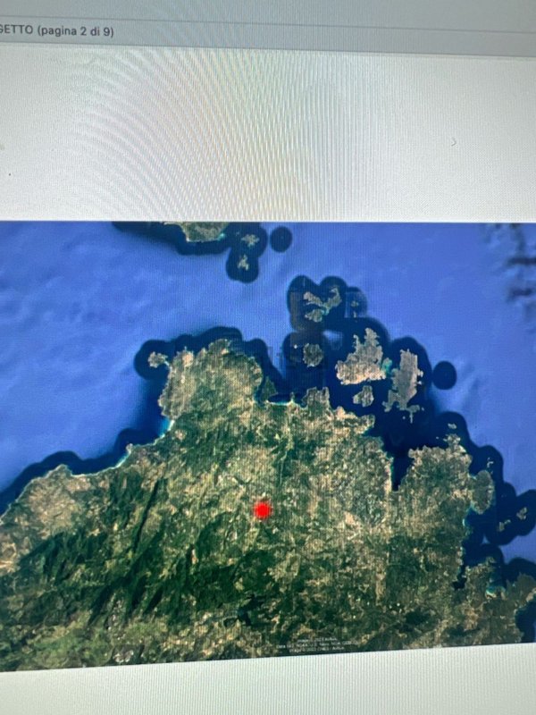 azienda agricola in vendita a Luogosanto