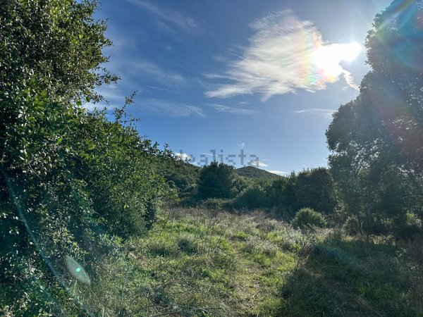 locale di sgombero in vendita a Luogosanto