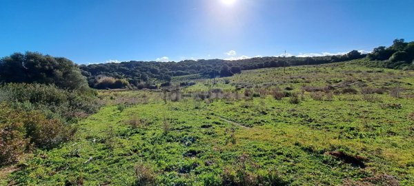 terreno agricolo in vendita a Luogosanto