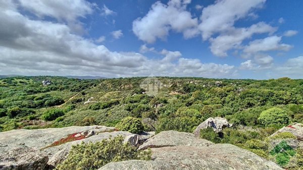 terreno agricolo in vendita a Luogosanto