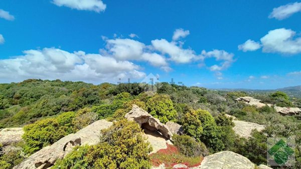 terreno agricolo in vendita a Luogosanto