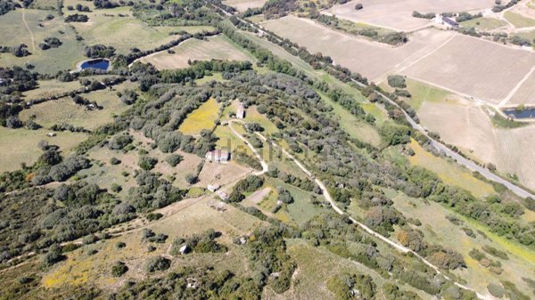 casa indipendente in vendita a Luogosanto