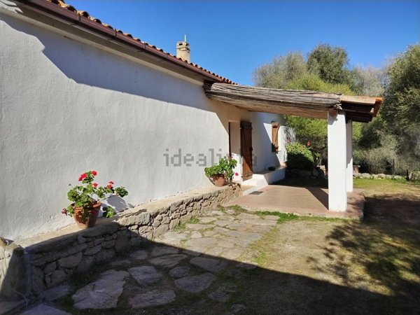 quadrivano in vendita a Luogosanto