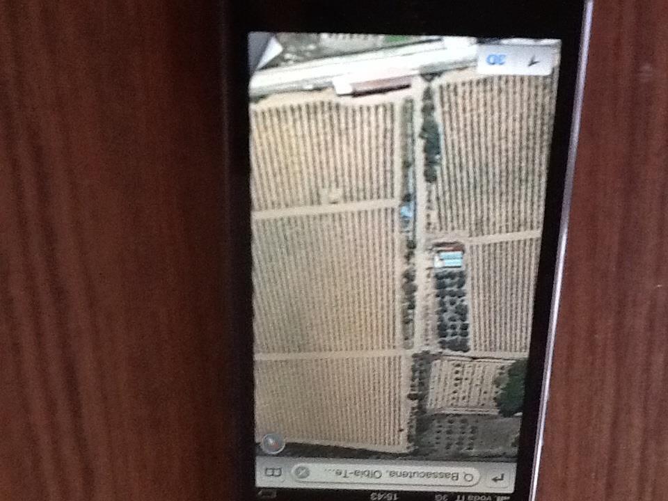 casa indipendente in vendita a Luogosanto