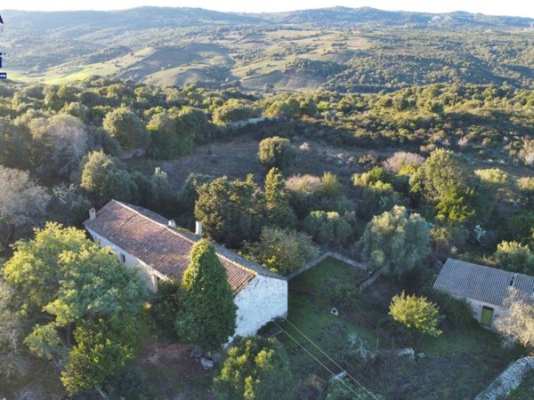 casa indipendente in vendita a Luogosanto