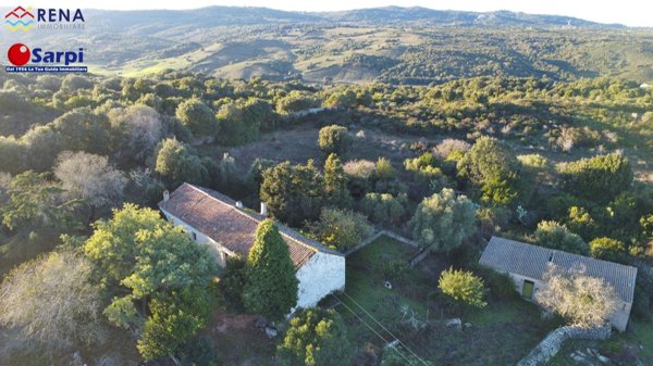 quadrivano in vendita a Luogosanto