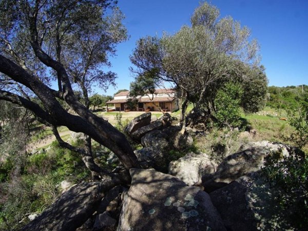 casa indipendente in vendita a Luogosanto