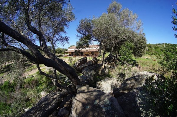 appartamento in vendita a Luogosanto