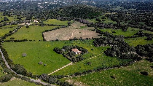 casa indipendente in vendita a Luogosanto