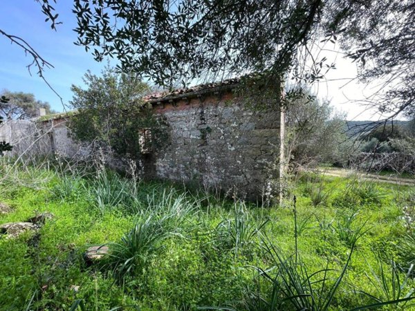 terreno agricolo in vendita a Luogosanto